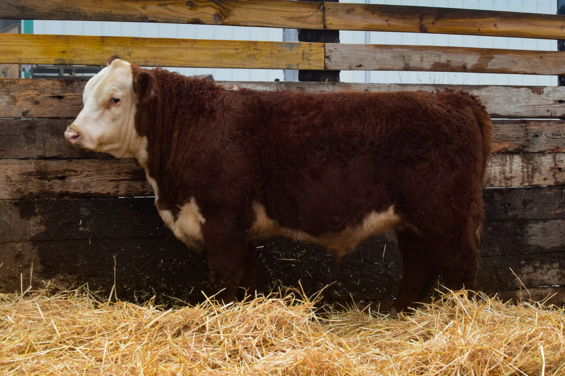 437M – BJK 2004 Broadway 437M