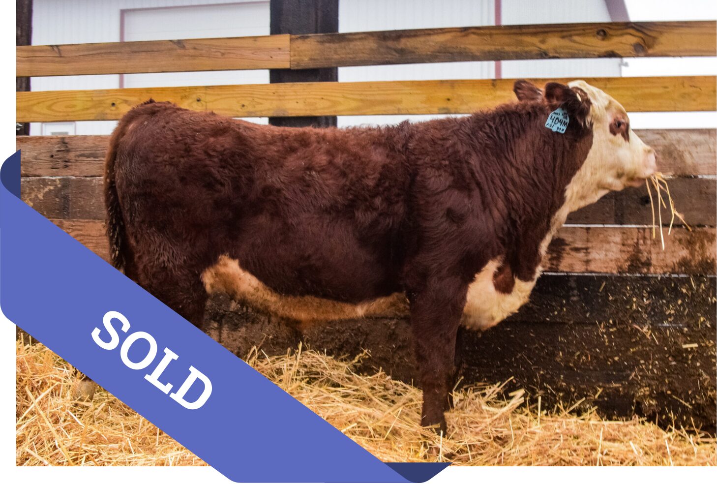 404M – BJK 858 BROADWAY 404M