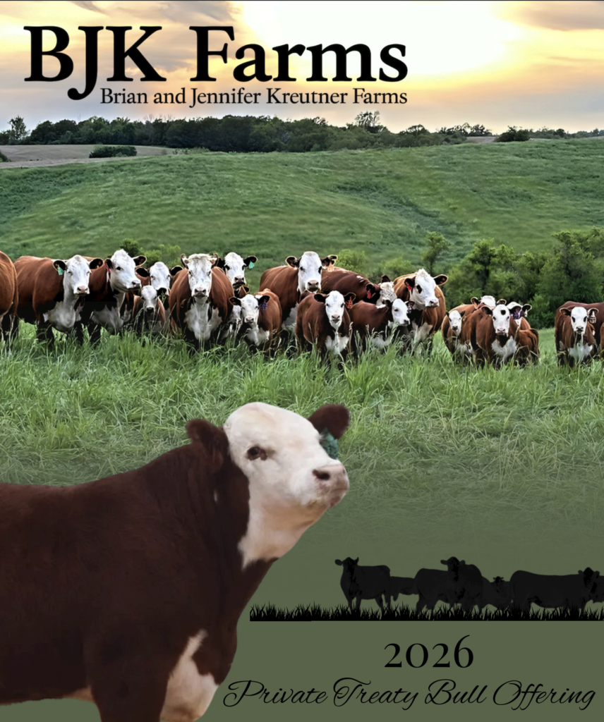 Cover image of BJK Farms Catalog 2026 - Private Treaty Bull Offering
